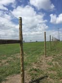 Kapkatunga Kipyemit Electric Fence preview 2