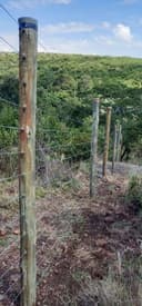 Kapkatunga Kipyemit Electric Fence preview 3