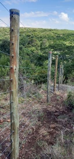 Kapkatunga Kipyemit Wildlife Electric Fence detail 3